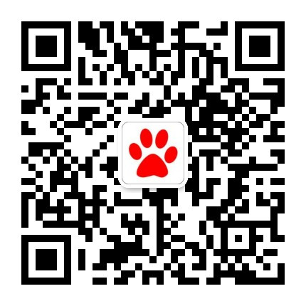 默认微信二维码